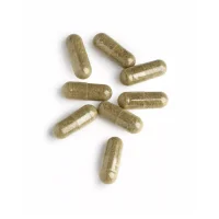 Receptor Support (60 Kapseln)