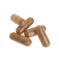 Cats Claw 500 mg (90 Kapseln)