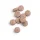 Beta-TCP (90 Tabletten)
