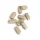 Biotics C Plus (1000 mg) (Vitamin C)