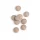 Biotics OPC Plus (60 Tabletten)