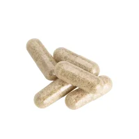 Colon-Plus Caps (120 Kapseln)