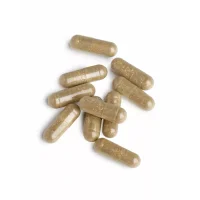 Glycozyme Forte (90 Kapseln)