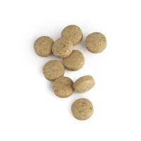 NAC Plus (120 Tabletten)