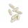 SAMethylate Plus (120 Kapseln)