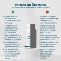 Cholin-3-Komplex (90 Kapseln)