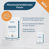 Mitochondrien Aktivator Pulver (633 g Pulver)