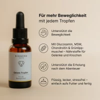 Gelenk Tropfen