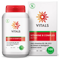 Vitamin B Komplex Aktiv (100 Kapseln)