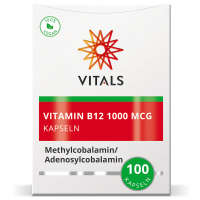 Vitamin B12 1000 mcg (100 Lutschtabletten)