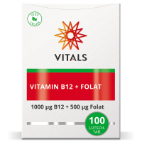 Vitamin B12 Kapseln (100 Kapseln)