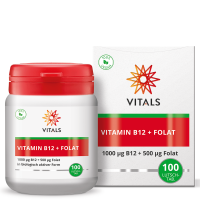 Vitamin B12 Kapseln (100 Kapseln)
