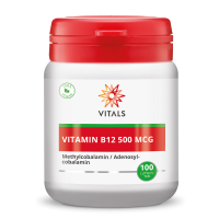 Vitamin B12 500 mcg (100 Lutschtabletten)