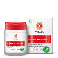 Vitamin B12 500 mcg (100 Lutschtabletten)