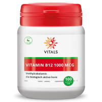 Vitamin B12 + Folat (100 Lutschtabletten)