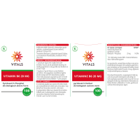 Vitamin B6 20 mg (100 Kapseln)